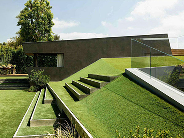Landscape&nbsp;Lawn