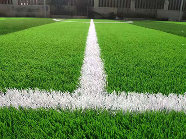 Football&nbsp;Field&nbsp;Lawn